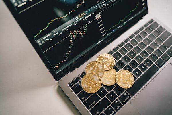 Omanetrix Crypto Review
