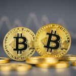 Fidanzix Review