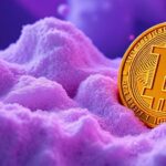 Droxo Vizz Review