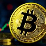 Starbit Capital Review